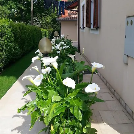 Guest house Ulika & Porec