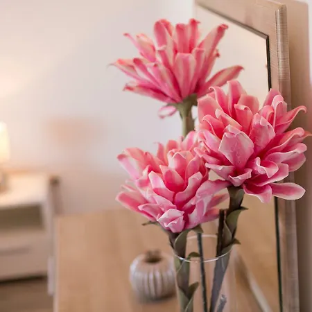 Guest house Ulika &