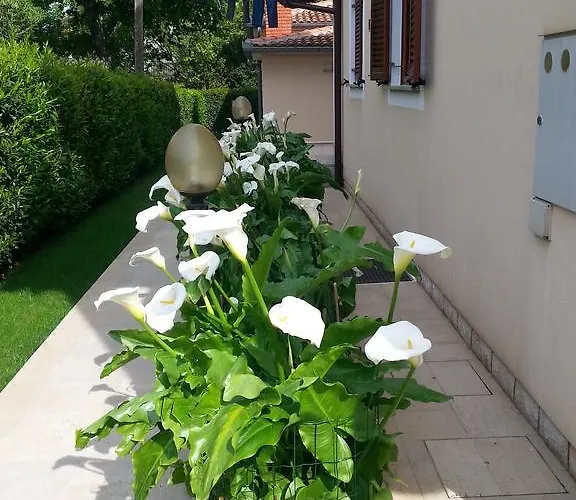 게스트하우스 Ulika & 포레치