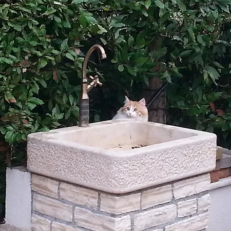 Ulika & ポレッチ