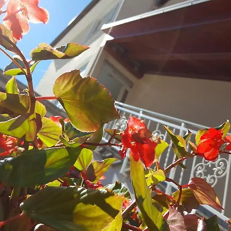 ゲストハウス Ulika &